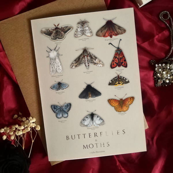 Buttterflies