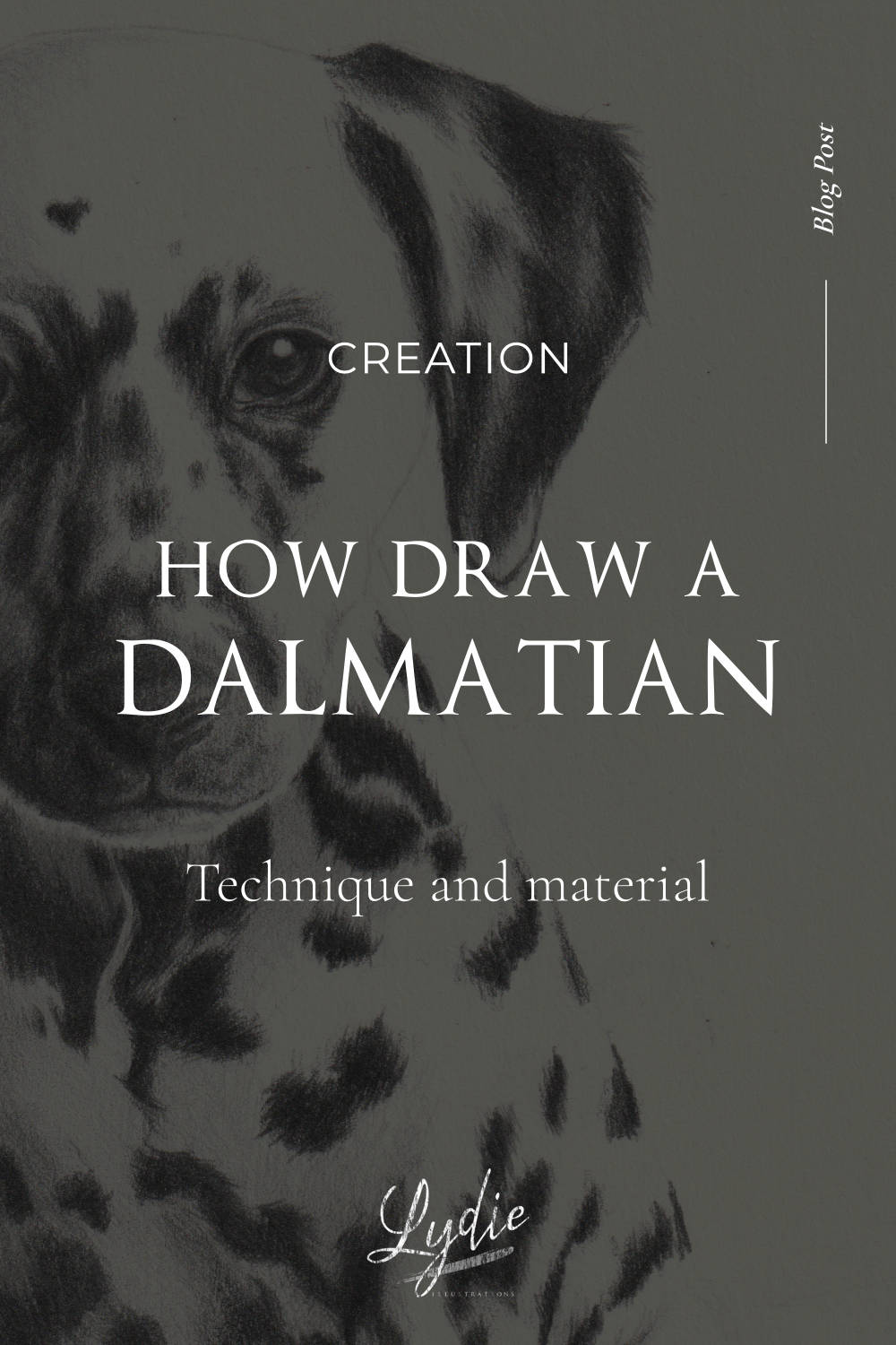 dessiner une dalmatienne